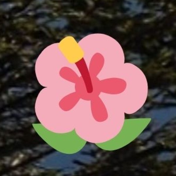 Major Trains to Bareilly