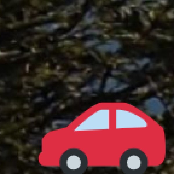 By Road – Comfortable for Short-Distance Travelers