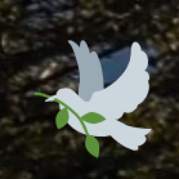 Boat & River Transport