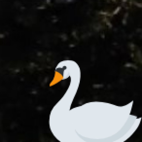 Uppalapadu Bird Sanctuary