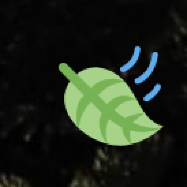 Best Time for Day Trips