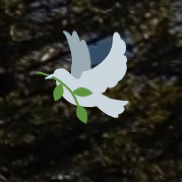 Rishikesh – The Adventure & Yoga Capital of India