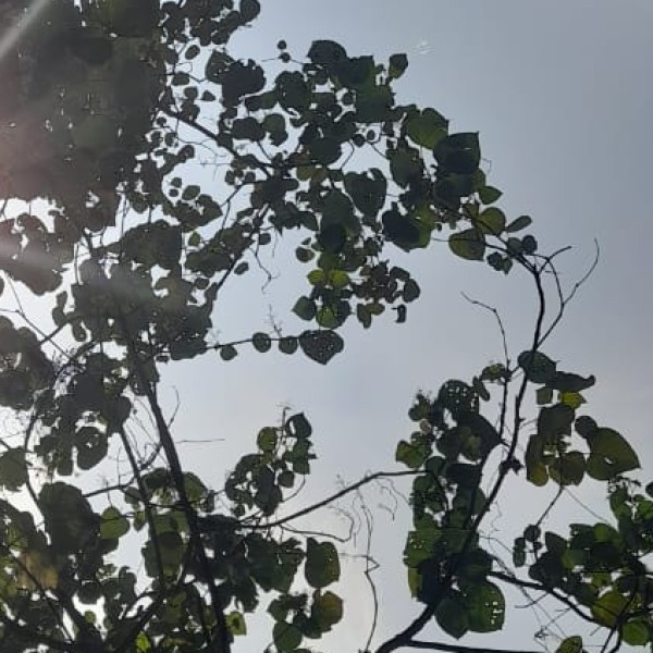 Best nearby Destinations & Day Trips