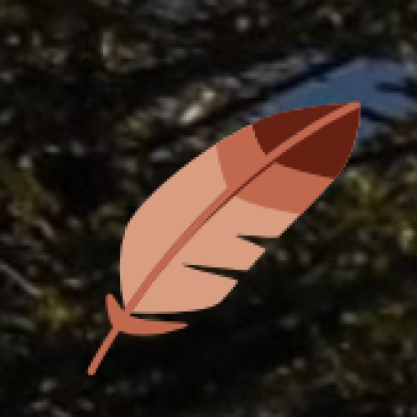 Sirsa Dam – A Scenic Picnic Spot