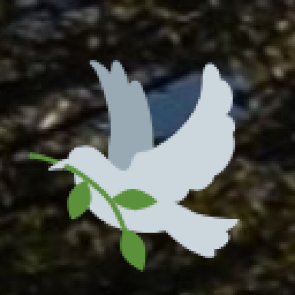 Delhi – The Capital City of India