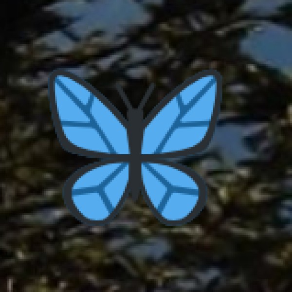 Mathura-Vrindavan – The Land of Lord Krishna