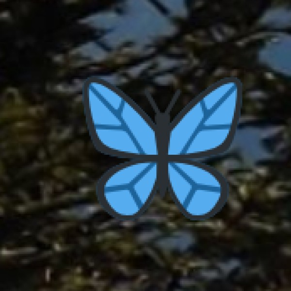 Bhita Danuha – The Hidden Archaeological Treasure