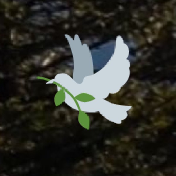 . General Introduction