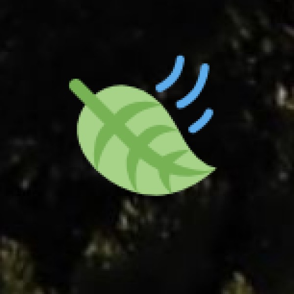 TRANSPORT & CONNECTIVITY