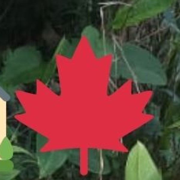 TOURISM & RECREATION