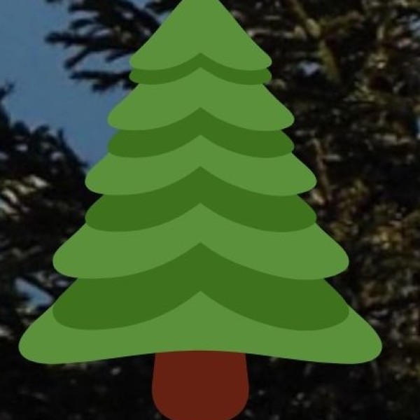 Green Spaces & Environment