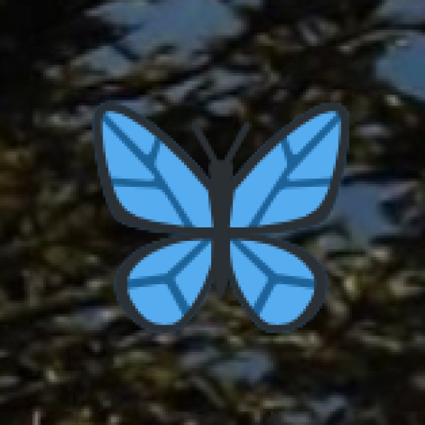 LOCAL INDUSTRY & HANDICRAFTS