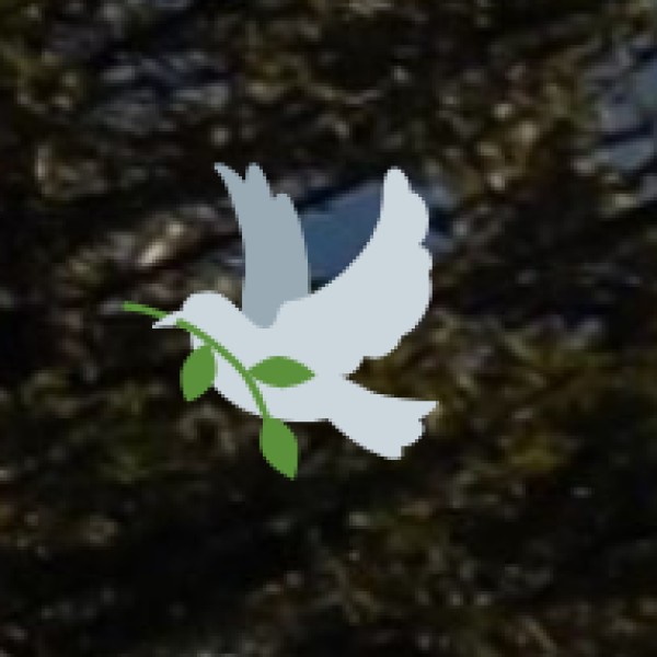 TRANSPORT & CONNECTIVITY