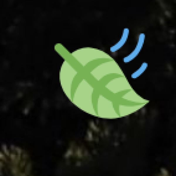 Health & Medical Safety