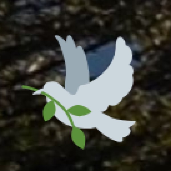 Weather & Packing Tips