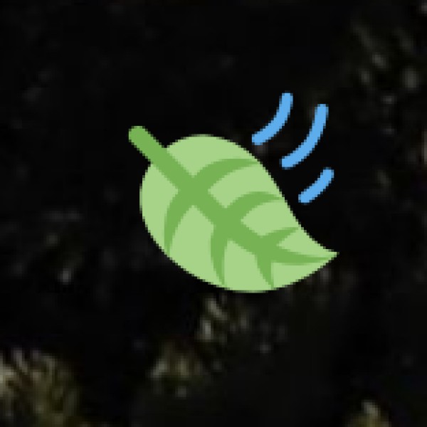 Safety Tips for Tourists in Meerut