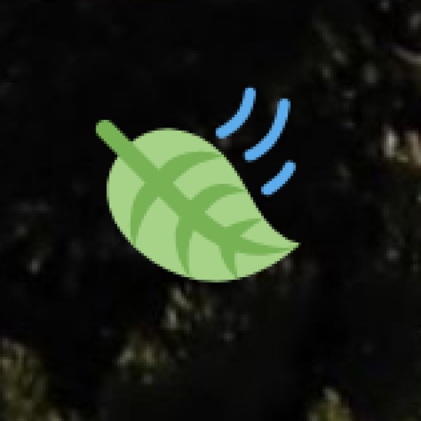 How to Travel Safely to Gorakhpur