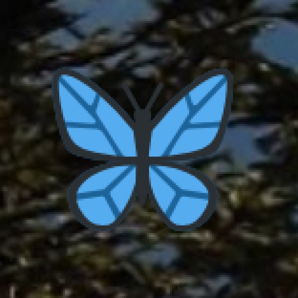 Food & Water Safety in Meerut