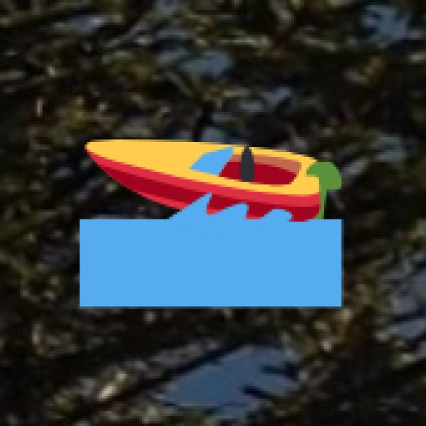 Beach & Water Safety