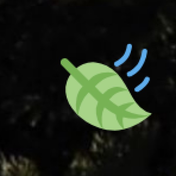 Connectivity & Internet