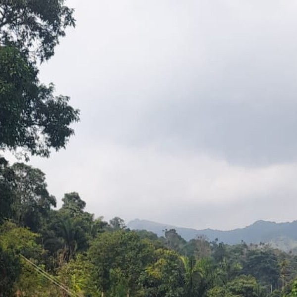 Travel Tips & Safety