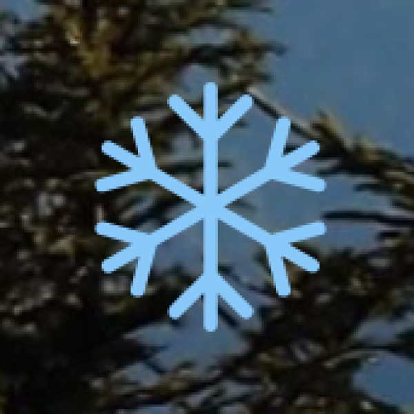 Packing Tips for Prayagraj