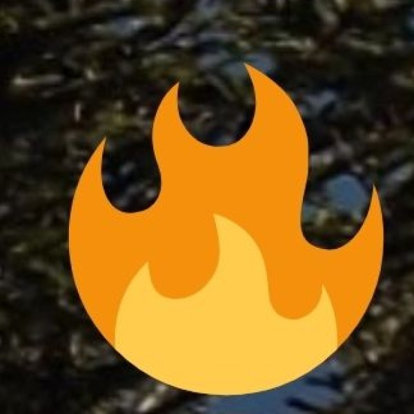 Local Transport & Safety in Gorakhpur