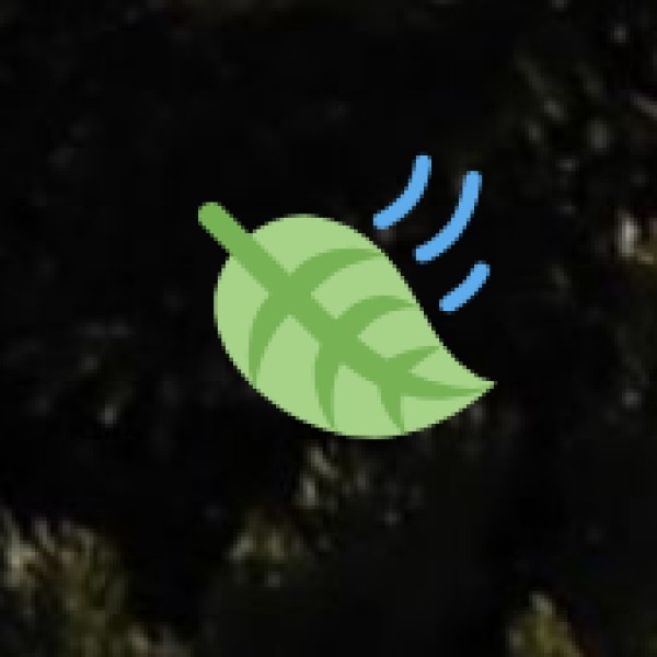 Best Time to Visit Kanpur