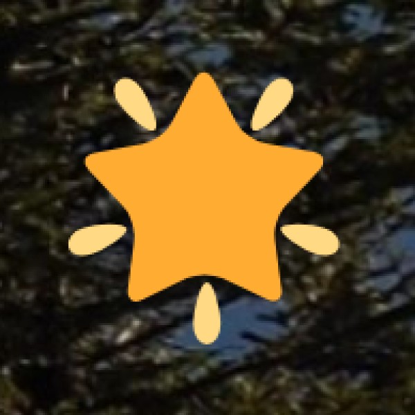 Local Transport & Safety in Bareilly