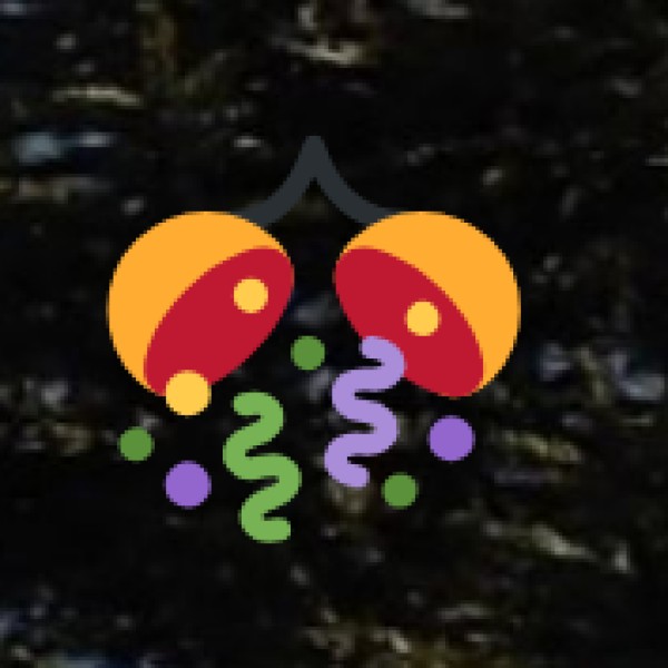 Women’s Safety & Solo Travel Tips