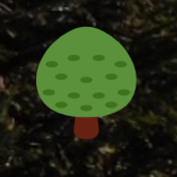 Packing Tips for Varanasi