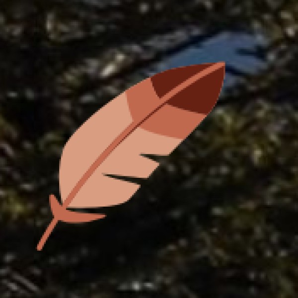 Health & Hygiene Tips