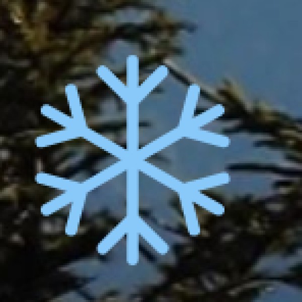 Best Time to Visit Noida