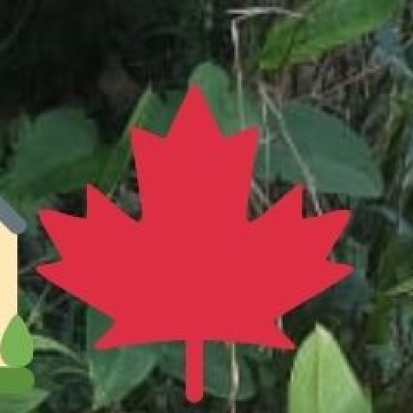 Budget & Money-Saving Tips