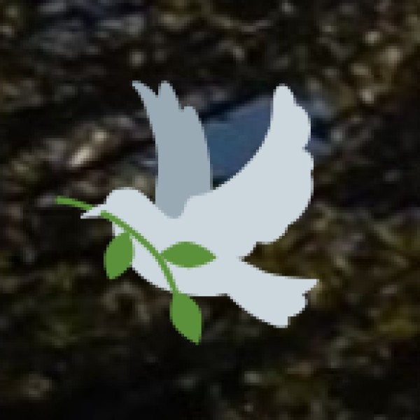 Transportation & Travel Safety