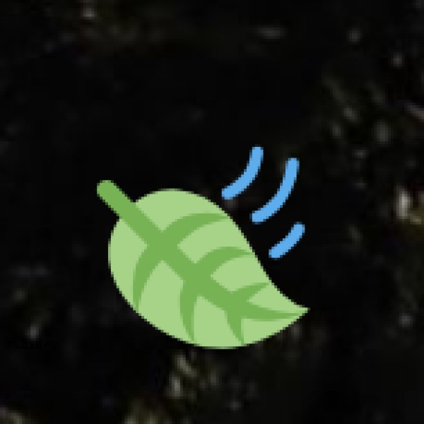 Top Places to Visit in Meerut