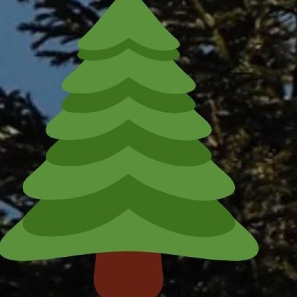 City Forest – A Green Escape in Ghaziabad