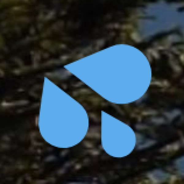 Goutami Ghat (Peaceful Riverside Promenade)