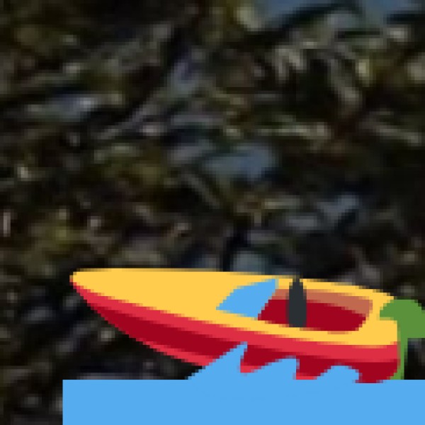 RK Beach (Ramakrishna Beach)