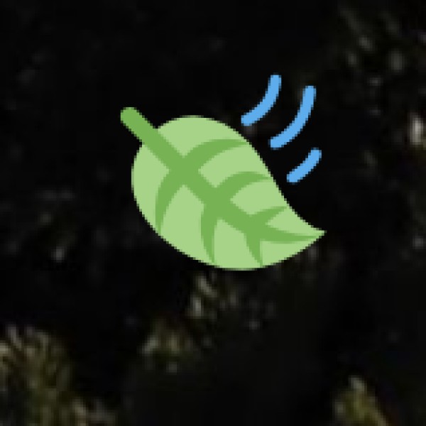 Kakinada Beach (Suryalanka Beach)