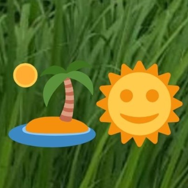 Best Day Trips from Bareilly