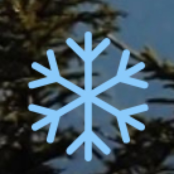 Best Day Trips from Varanasi