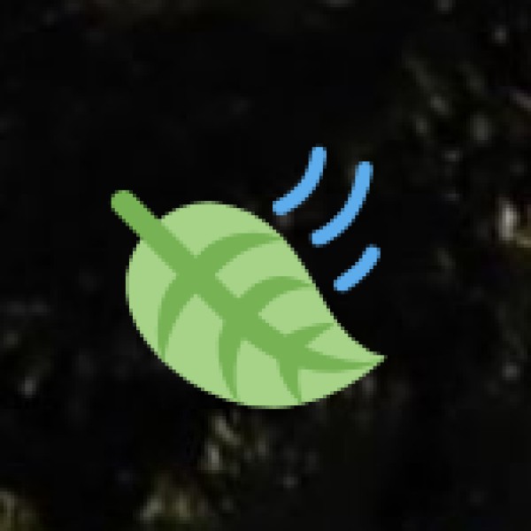 Sri Venkateswara Temple, Tirumala  – The Most Visited Temple in the World