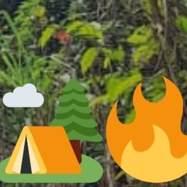 Godowlia Market – The Shopping Paradise