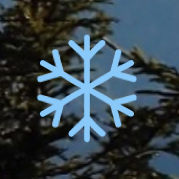 Gandhi Bagh – The Green Heart of Meerut