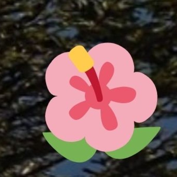 Vinod Van – A Family Picnic Spot in Gorakhpur