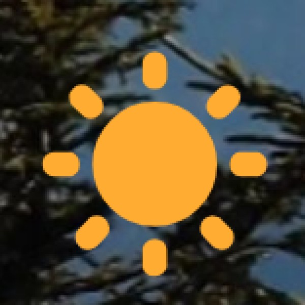 Godavari Bridge (The Iconic Landmark)