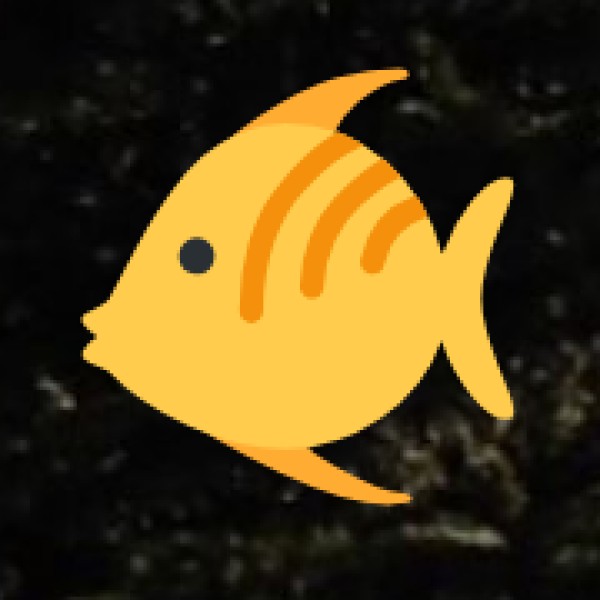 Coromandel Fish Aquarium