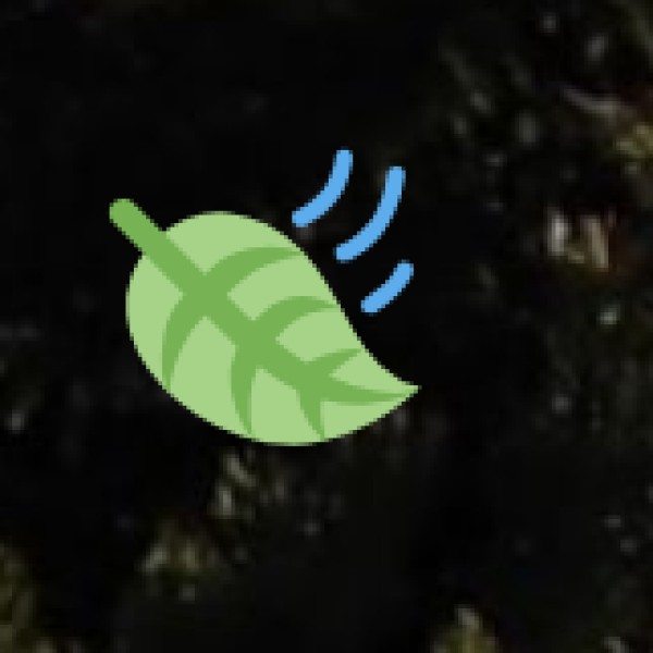 Sarnath – The Sacred Buddhist Site