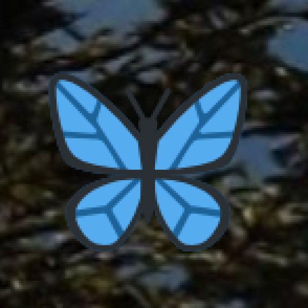 Mogalarajapuram Caves